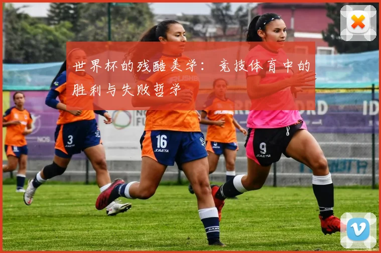 世界杯的残酷美学：竞技体育中的胜利与失败哲学