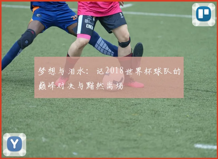 梦想与泪水：记2018世界杯球队的巅峰对决与黯然离场