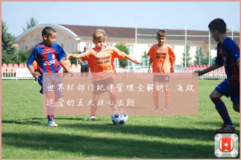 世界杯部门纪律管理全解析：高效运营的五大核心法则