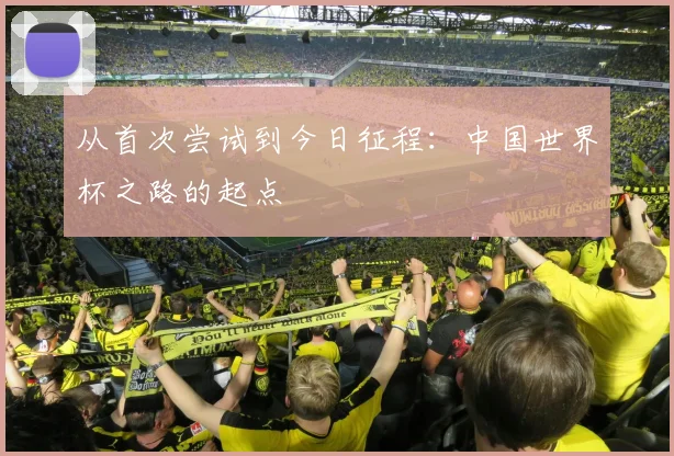 从首次尝试到今日征程：中国世界杯之路的起点