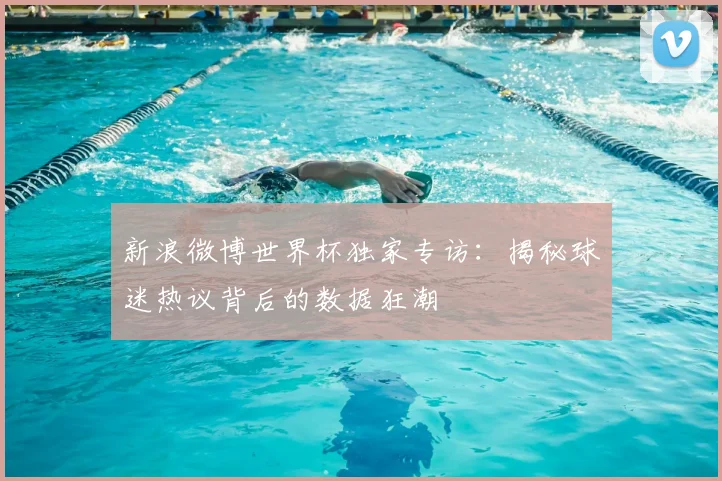 新浪微博世界杯独家专访：揭秘球迷热议背后的数据狂潮