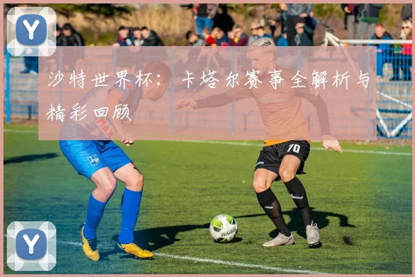 沙特世界杯：卡塔尔赛事全解析与精彩回顾