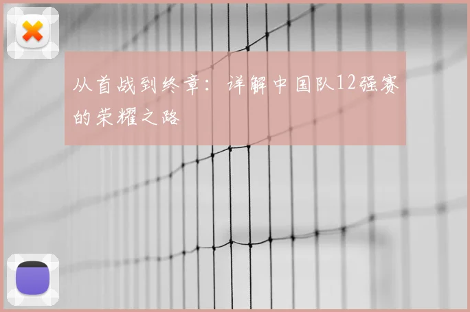 从首战到终章：详解中国队12强赛的荣耀之路
