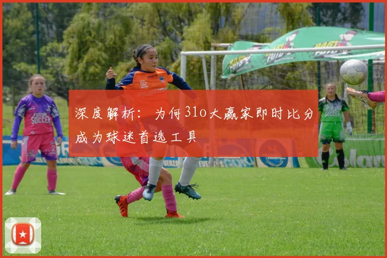 深度解析:为何31o大赢家即时比分成为球迷首选工具